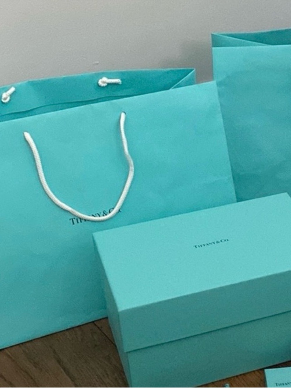 Tiffany & Co. Robin's-Egg Blue Shopping Bags and Box
